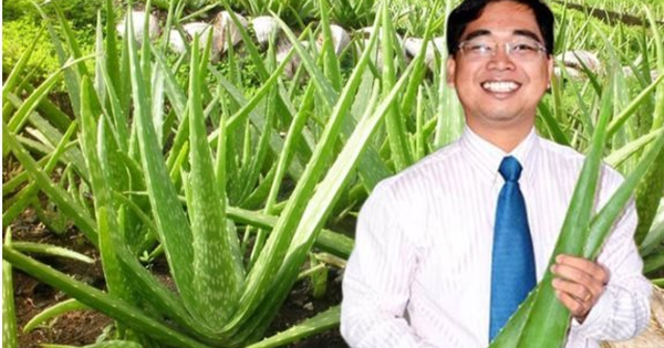 'Ông trùm' cung cấp nguyên liệu cho Trung Nguyên, Vinamilk, Masan... với doanh thu 12.000 tỷ thâu tóm "vua" nha đam