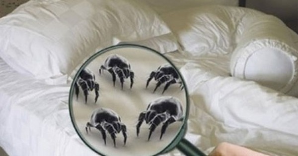 Cả nhà cầu cứu bác sĩ vì thứ nguy hiểm trên giường, bẩn vượt sức tưởng tượng, gấp 3 lần bồn cầu