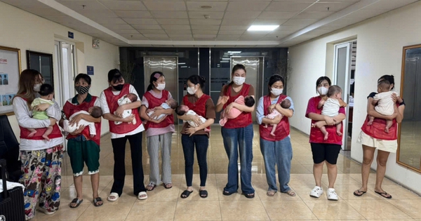 Đường dây mang thai hộ vừa bị triệt phá: Bà trùm Quách Thị Thương nhận lương 1000 USD/tháng