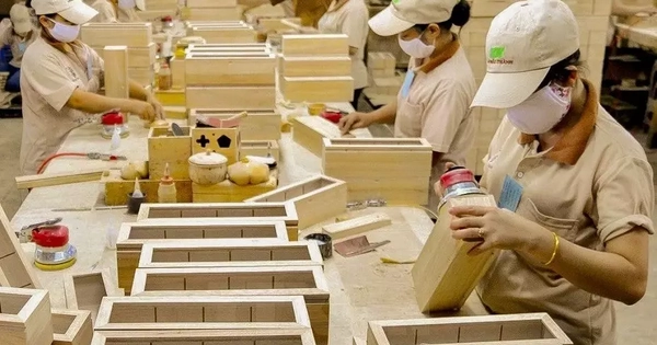 Doanh nghiệp Việt thấp thỏm trước động thái điều tra gỗ nội thất của Mỹ