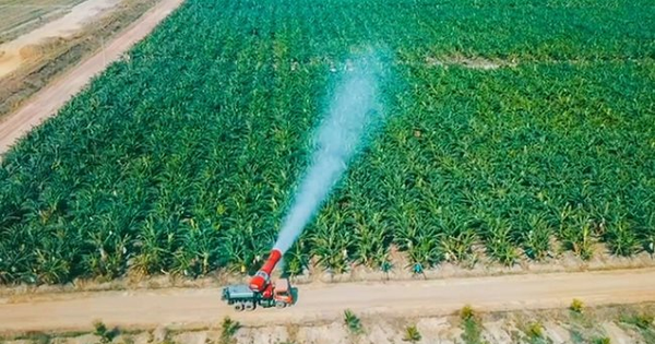 Thaco Agri của tỷ phú Trần Bá Dương có tổng tài sản tăng vọt lên hơn 67.000 tỷ đồng, vượt Becamex, gấp 3 lần HAGL