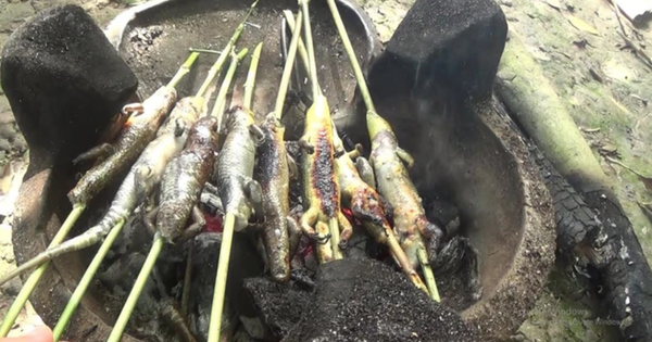 Đặc sản "rắn 4 chân" ở miền Tây: Từng bị xem là kinh dị, nay thành món được săn lùng