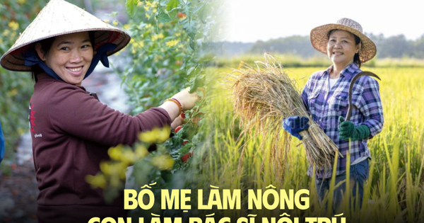 Ngày con trai tốt nghiệp bác sĩ nội trú, tôi như có thêm “một cuộc đời thứ 2”: Một người mẹ làm nông thành công!