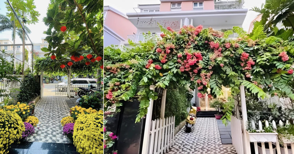 Nữ diễn viên Mưa Đỏ: Trong phim đau khổ khóc cạn nước mắt, ngoài đời sống chill với cơ ngơi 4 tầng phủ kín hoa!