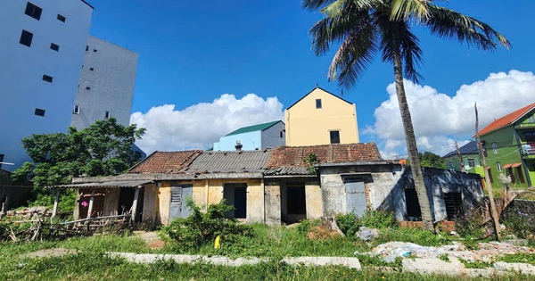 Hai cựu cán bộ Tỉnh đoàn Quảng Trị khiếu nại "đòi" chia đất tập thể hơn 430m²