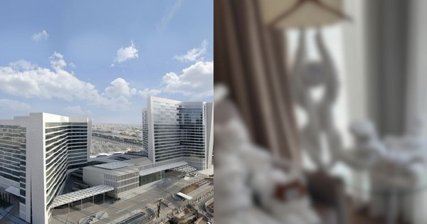 Hành khách sững sờ vì thấy nguyên “vườn thú” đang đợi mình trong phòng khách sạn hàng đầu thế giới