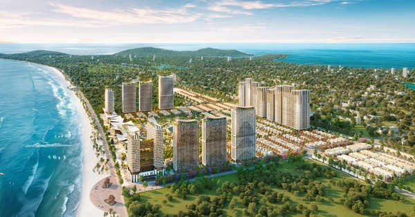 “tài sản sống” đắt giá tại trung tâm biển Vũng Tàu