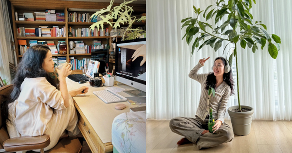 3 việc nên làm trong năm 2026 để tiền bạc tự chảy vào túi, giàu có gõ cửa