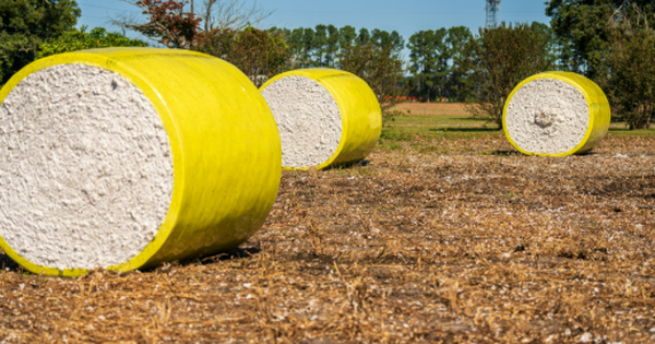 Mỹ vừa chi hơn 10 tỷ USD mua một 'mỏ vàng' của Việt Nam: Nước ta vừa vươn lên đứng thứ 2 thế giới, hàng trăm quốc gia đã đặt gạch mua hàng