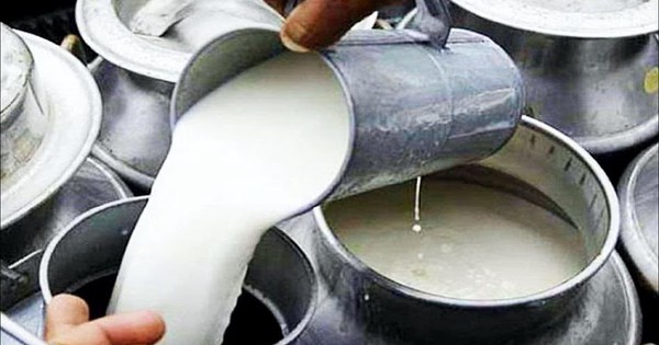 Đột kích một cơ sở lúc 4 giờ sáng, công an triệt phá đường dây sản xuất sữa giả từ nước bẩn, tịch thu loạt túi nhựa, công cụ pha trộn công nghiệp