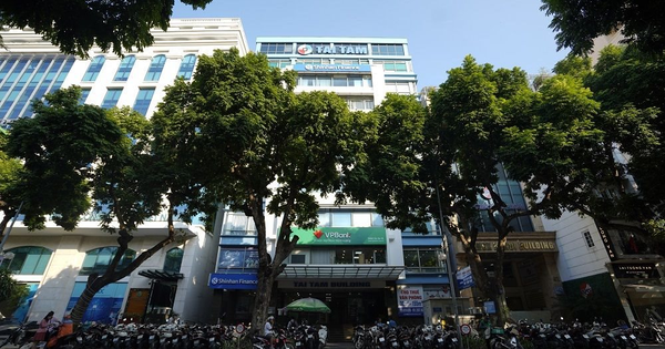 Chủ tịch 82 tuổi và gia tộc họ Đỗ đứng sau Tập đoàn bất động sản kín tiếng nắm trong tay loạt dự án điện gió hàng nghìn tỷ đồng