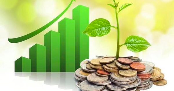 Lịch chốt quyền cổ tức 22/9-26/9: Cổ tức tiền mặt cao nhất 100%, SSI, PNJ chuẩn bị "lăn chốt"