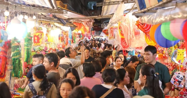 ‘Thiên đường lồng đèn’ ở TPHCM đông nghịt người 'check-in'