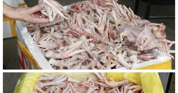 Phát hiện kho đông lạnh chứa hàng nghìn chân gà, xúc xích lậu