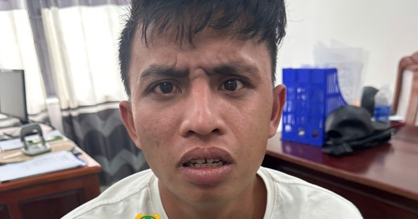 Bắt Trần Văn Tiên, thu hồi toàn bộ tài sản