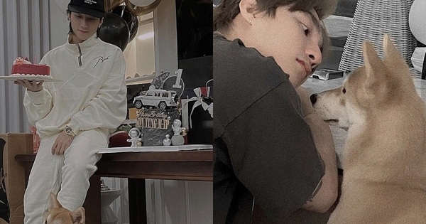 Nhà Sơn Tùng M-TP có 2 con "lông lá" bị gọi là "nỗi phiền phức", hóa ra cũng là "hot face" nổi tiếng