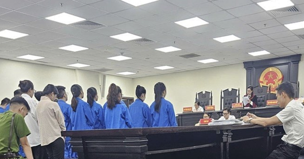 "Ông trùm" lập hàng chục công ty ma lừa đảo liên quan đến Mr Pips lĩnh án