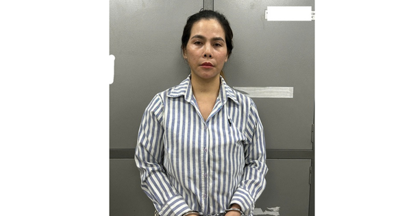 Bắt giữ, di lý Đinh Thị Trúc Linh