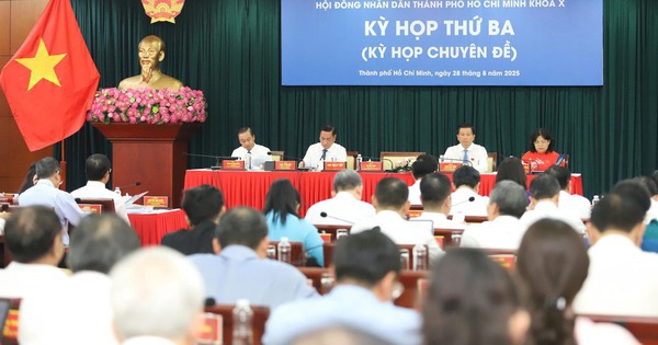 Đề xuất HĐND TP HCM, TP Cần Thơ có 4 Phó Chủ tịch