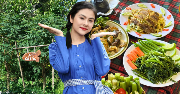 Nữ diễn viên quê Tiền Giang sở hữu cả một khu sinh thái rộng 5 hecta, nhìn cây cối xanh mướt mà ai cũng phải khen: Mẹ 4 con vừa giàu vừa giỏi