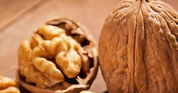 Người trên 60 tuổi nhất định phải biết: Ăn hạt óc chó tốt hay hại? Tránh xa 3 loại hạt này kẻo mang bệnh vào thân!