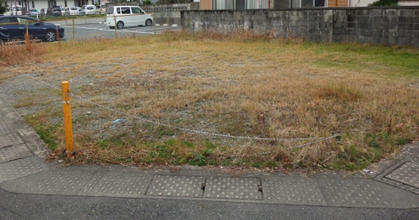 Mua mảnh đất 300 triệu để trồng cây, gia chủ bất ngờ đổi đời sau 1 năm: Đất để không cũng sinh lời gần 10 lần!