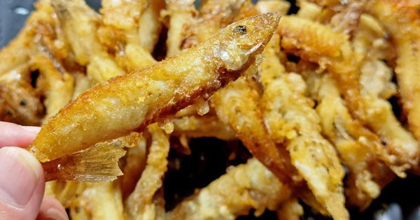 Đi chợ mua cá, nhớ kỹ 4 loại này toàn hàng “xịn”, dinh dưỡng cao, lại không thể nuôi nhân tạo, gặp là nên mua ngay