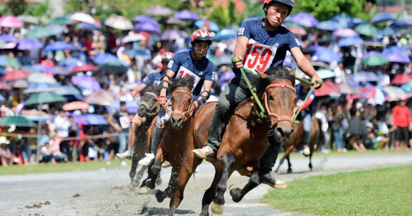 Đã có dự thảo về cá cược đua ngựa, hiện tại Việt Nam đang có trường đua ngựa nổi bật nào?