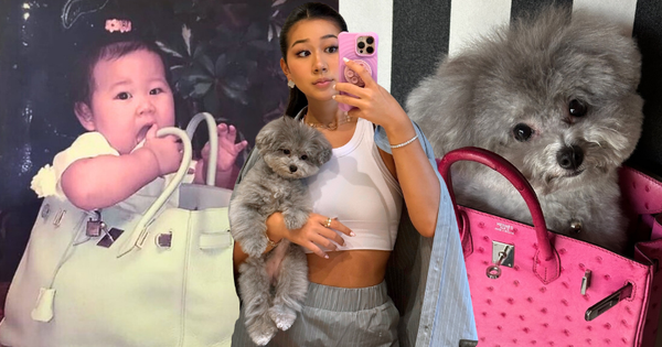 TikToker làm nghề "con gái nhà giàu": 3 tuổi ngồi trong túi Hermès, lớn lên chỉ nuôi chó vừa size Birkin 35