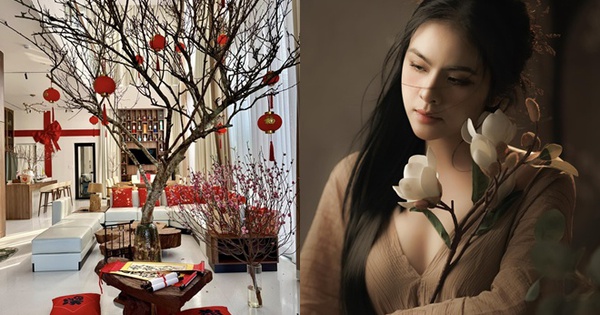 Nữ nghệ sĩ trẻ đẹp là CEO sở hữu spa làm đẹp, khu du lịch sinh thái 50.000m2, sinh 4 con cho đại gia