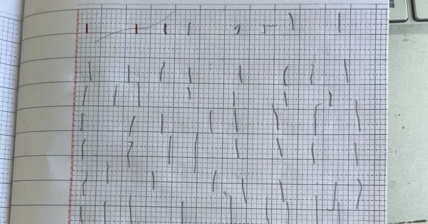 Vào năm học chưa đầy 1 tháng, "khối lớp 1" đã khiến phụ huynh tăng xông, giáo viên khóc ròng: Vạn vật thua các em hết!