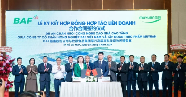 BAF bắt tay Muyuan trong dự án nuôi heo nhà cao tầng 12.000 tỷ đồng