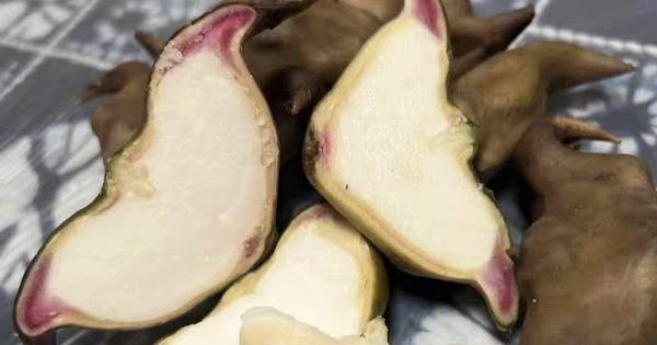 Ra chợ gặp 3 loại rau củ này nhớ mua ngay, không thuốc trừ sâu lại "bổ như sâm"