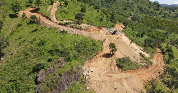 Tỉnh Gia Lai chỉ đạo làm rõ việc núi Chư Nâm bị tàn phá