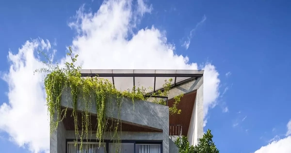 Tối ưu thông gió, ánh sáng, kết nối thiên nhiên cho nhà phố 3 tầng