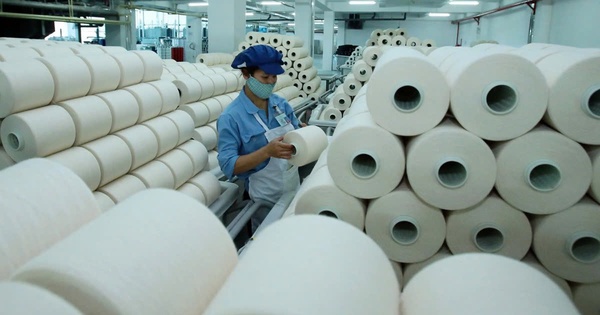 Sợi Thế Kỷ chốt ngày phát hành hơn 43 triệu cổ phiếu trả cổ tức