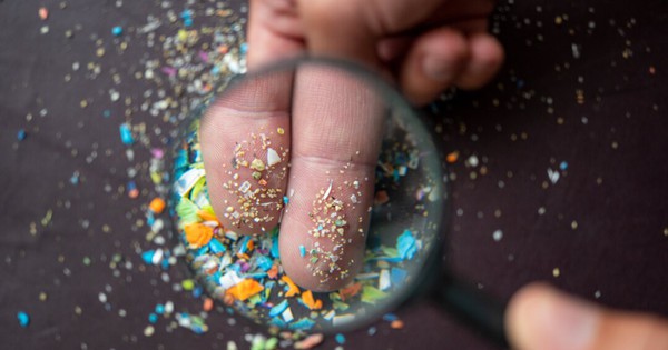 Top 3 thực phẩm quen thuộc đứng đầu danh sách nhiễm vi nhựa nhưng người Việt vẫn vô tư ăn hàng ngày: Có món chứa trung bình gần 200.000 hạt nhựa/gam