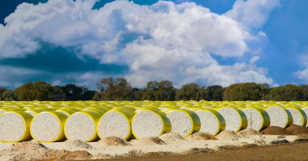 Trung Quốc 'quay lưng' giảm nhập khẩu 90%, Mỹ bất ngờ tăng mạnh đưa một mặt hàng vào Việt Nam: Nước ta tiêu thụ đứng thứ 3 thế giới