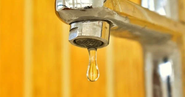 Uống nước theo cách này có thể "vô tình" giúp ta loại bỏ vi nhựa: Người Việt đã làm từ rất lâu