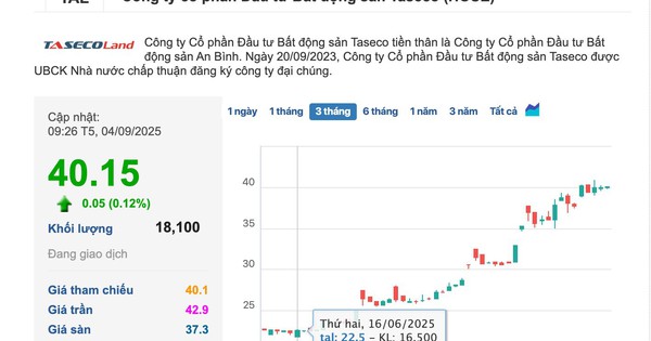“Đọc vị” loạt nhà đầu tư rót vốn vào Taseco Land