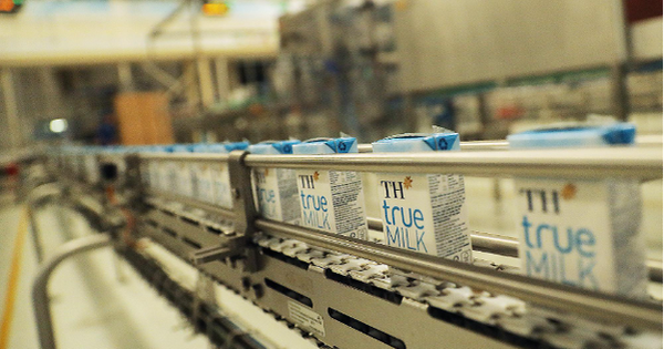 Sữa tươi sạch TH true MILK và quy trình sản xuất 12 bước tiêu chuẩn quốc tế