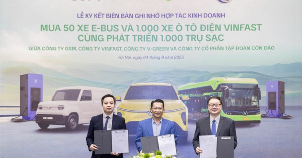 1 công ty hợp tác cùng lúc với 3 doanh nghiệp t...