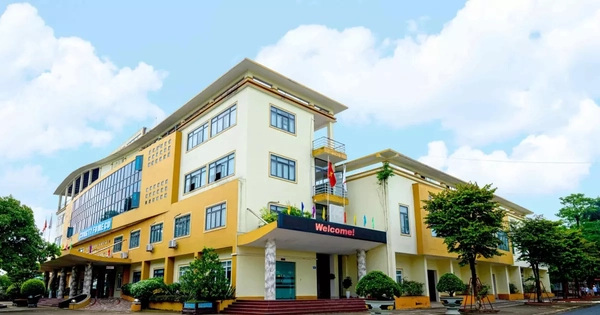 Doanh nghiệp trả cổ tức cao gấp 3 lần thị giá