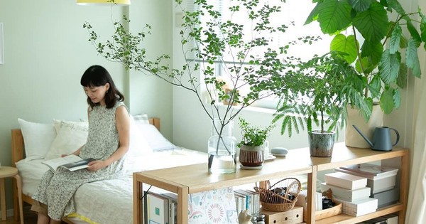 Ông bà dặn lại: Trồng nhầm cây này trong phòng ngủ dễ thất thoát tiền bạc mà không hay