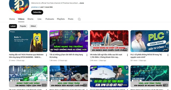 Điều gì tạo nên khác biệt cho bản tin và báo cáo chứng khoán?