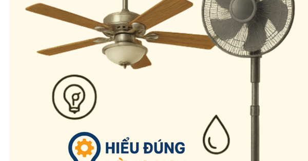 Quạt trần và quạt cây: Loại nào hiệu quả và tiết kiệm điện hơn trong phòng rộng?