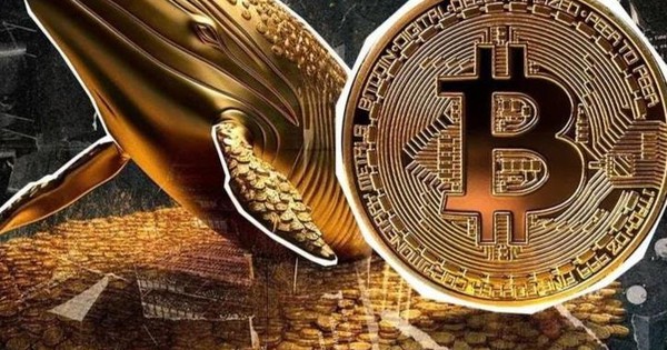 Bitcoin (BTC) là gì? Tất cả những điều cơ bản nhà đầu tư cần biết
