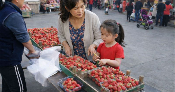 Cháu gái 5 tuổi kiên quyết ngăn bà ngoại mua dâu tây, lý do khiến người bà hốt hoảng: Thật sự quá đáng!