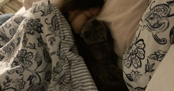 Một thói quen ngủ tưởng nhỏ nhưng có thể giúp kéo dài tuổi thọ thêm 4 năm, khoa học đã công nhận!