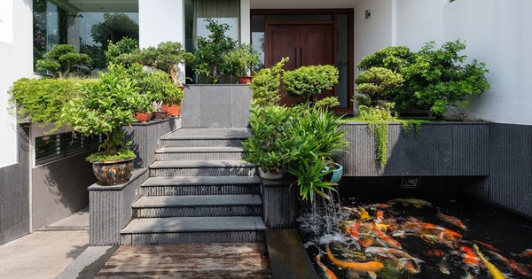 5 dấu hiệu nhận biết nhà bạn là đất vàng phong thủy, lộc bền đến 3 đời